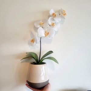 Last chance‼️ Faux Potted Orchid